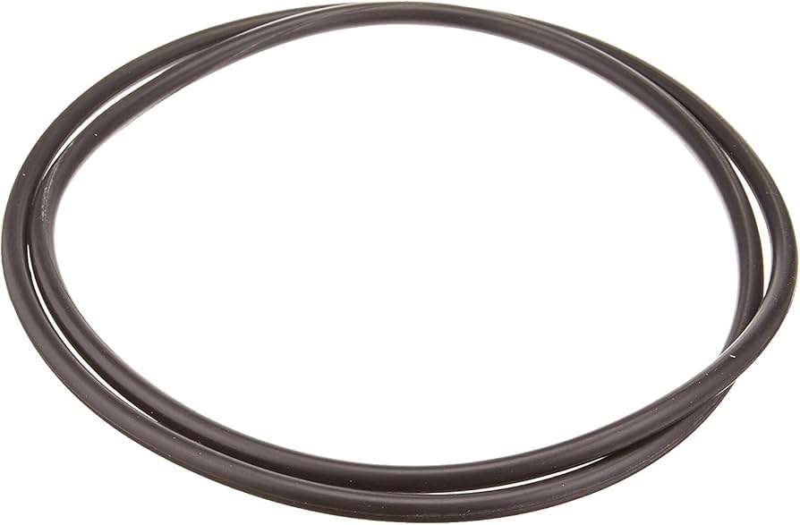 Hayward Xstream Tank Oring