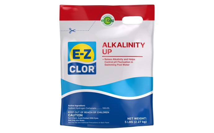 Ez-clor Alkalinity Up Pouch