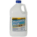Champion Muriatic Acid 1 gallon