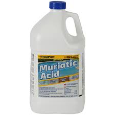 Champion Muriatic Acid 1 gallon